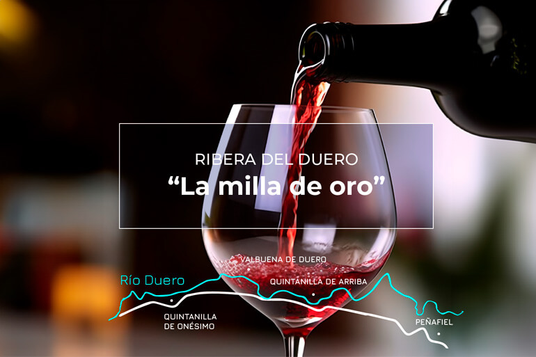Toda la información sobre la milla de oro de Ribera del Duero