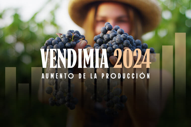 Previsiones de la vendimia 2024 en los diferentes territorios