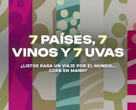 Descubre 7 vinos internacionales muy representativos de sus países de origen