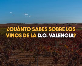 Descubre las características y los vinos de la Denominación de Origen Valencia