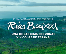 Descubre las características y los vinos de la Denominación de Origen Rías Baixas