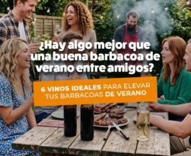 Descubre los mejores vinos para tus barbacoas de verano